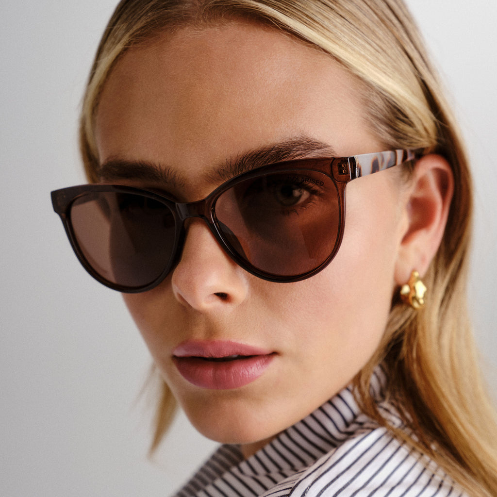  Evandale Sunglasses - Chocolate Cookie Tort