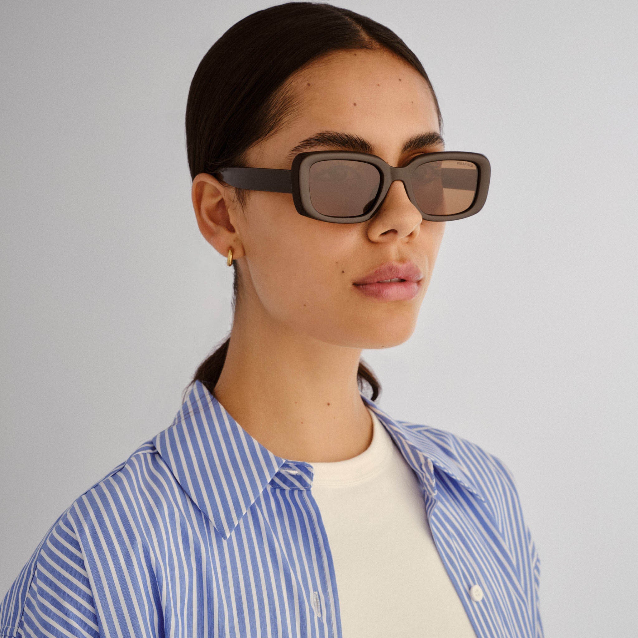  Dabee Sunglasses - Chocolate
